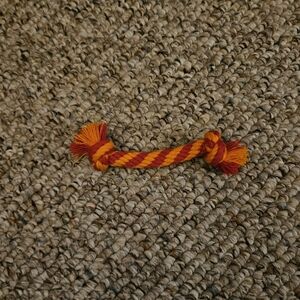 FurReal Friends My Playful Pup Red Orange Rope Accessory